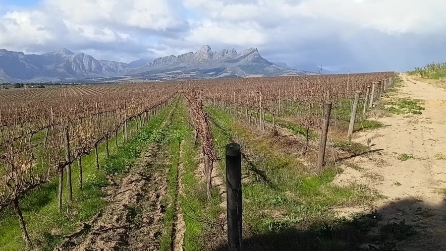 5 Bedroom Property for Sale in Stellenbosch Farms Western Cape